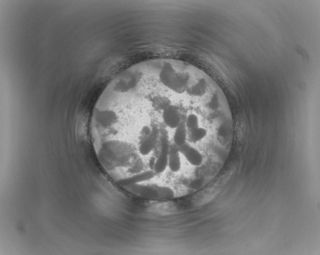 X0000114540185200911161405