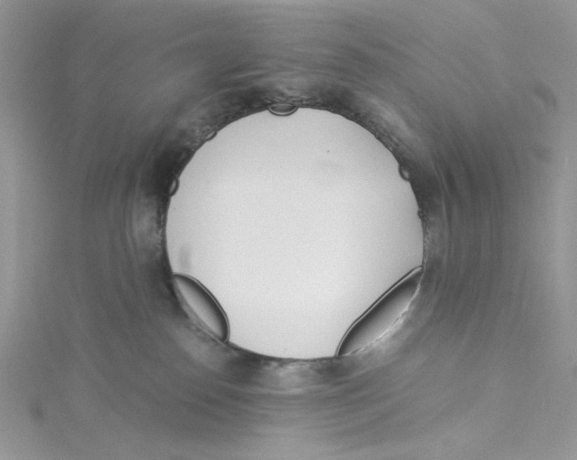 X0000114540186200911161405