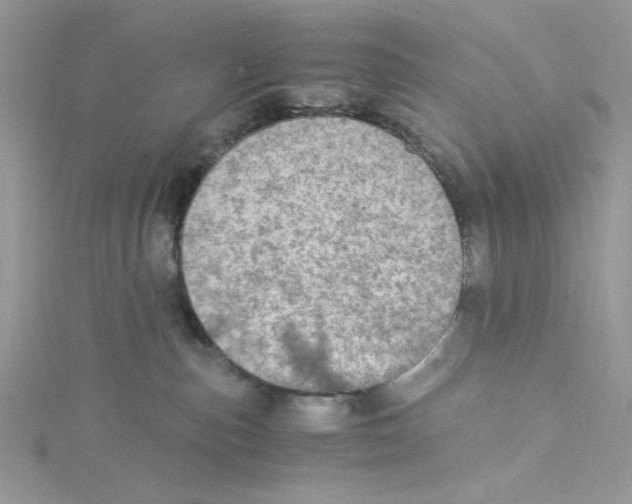 X0000114540187200911161405