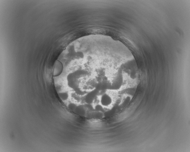 X0000114540189200911161405