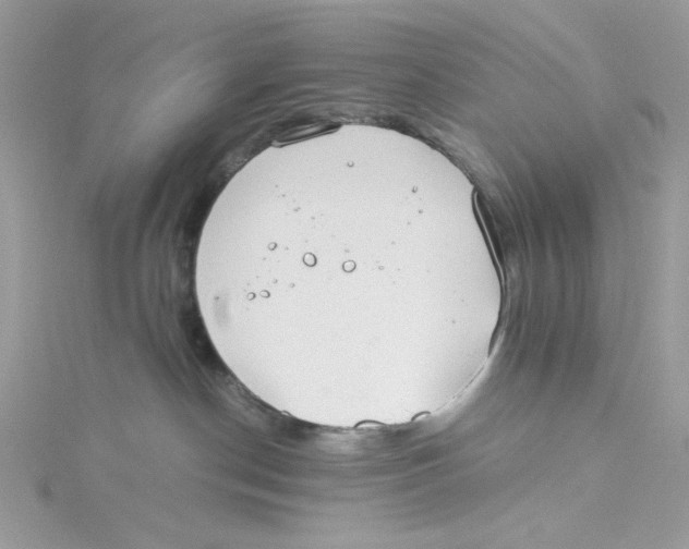 X0000114540190200911161405