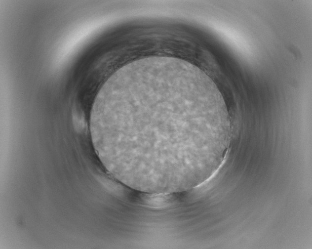 X0000114540191200911161405