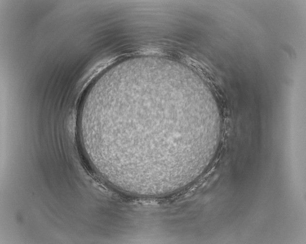 X0000114540194200911161405