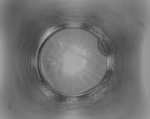 X0000114540195200911161405