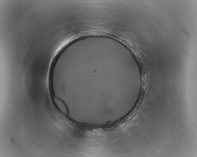 X0000114540196200911161405