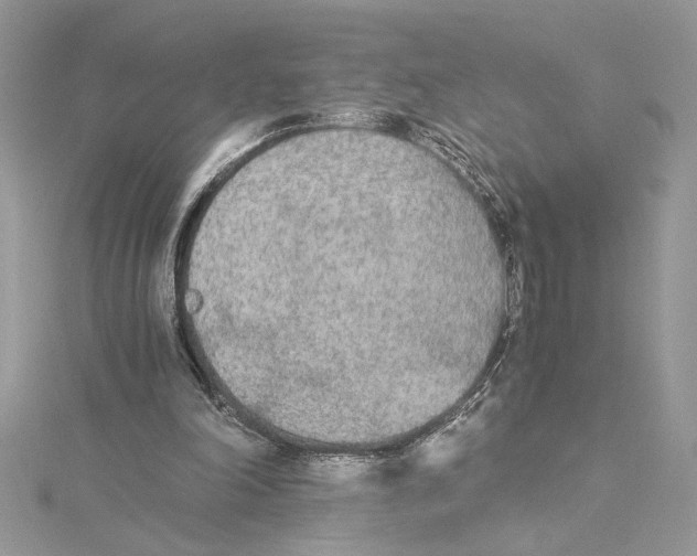 X0000114540198200911161405