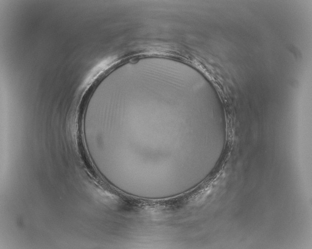 X0000114540199200911161405