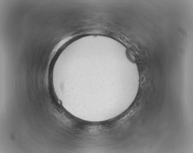 X0000114540200200911161405