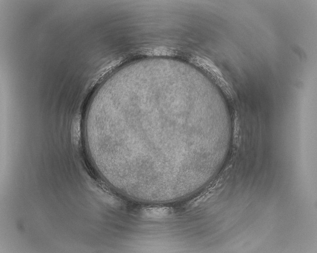 X0000114540202200911161405