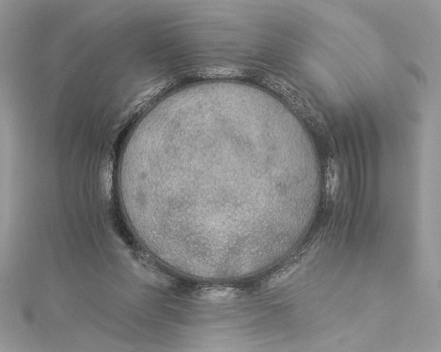 X0000114540206200911161405