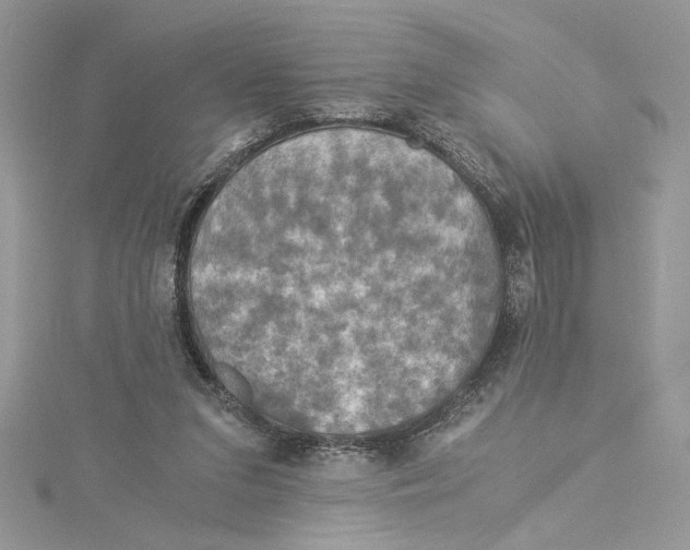 X0000114540207200911161405