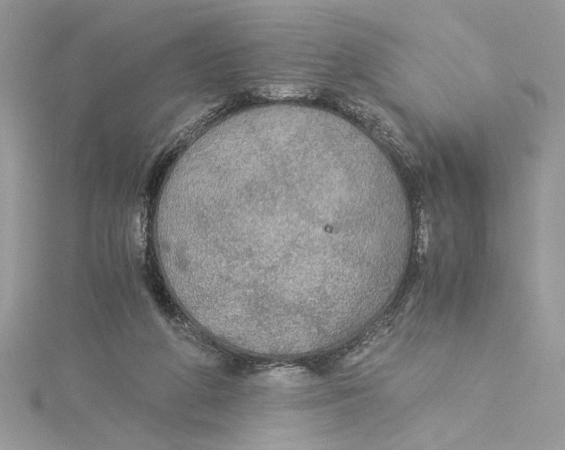 X0000114540210200911161405