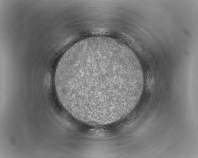 X0000114540211200911161404