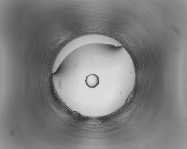 X0000114540215200911161404