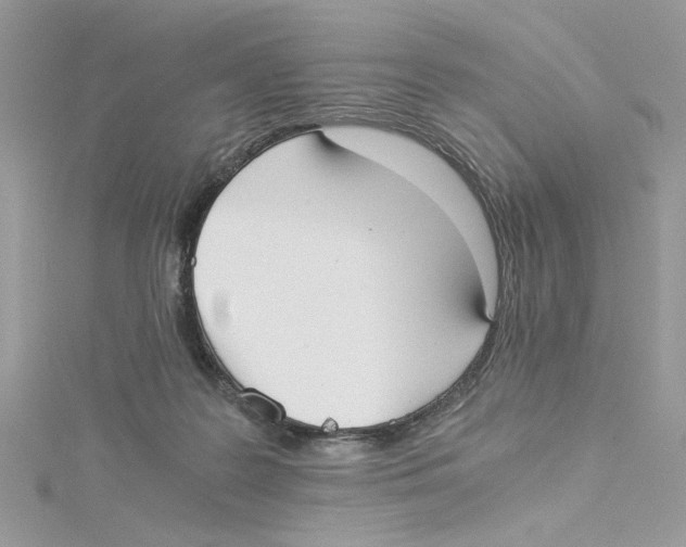 X0000114540219200911161404