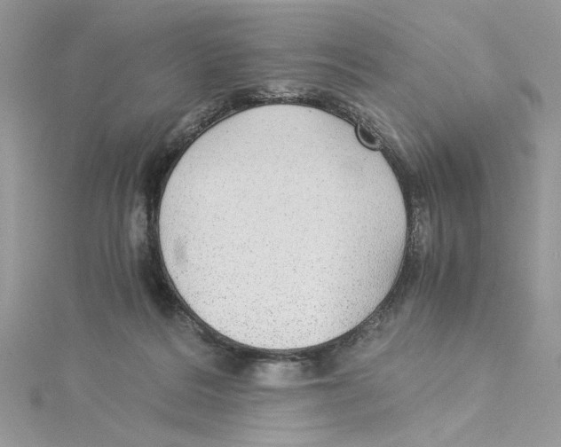 X0000114540220200911161404