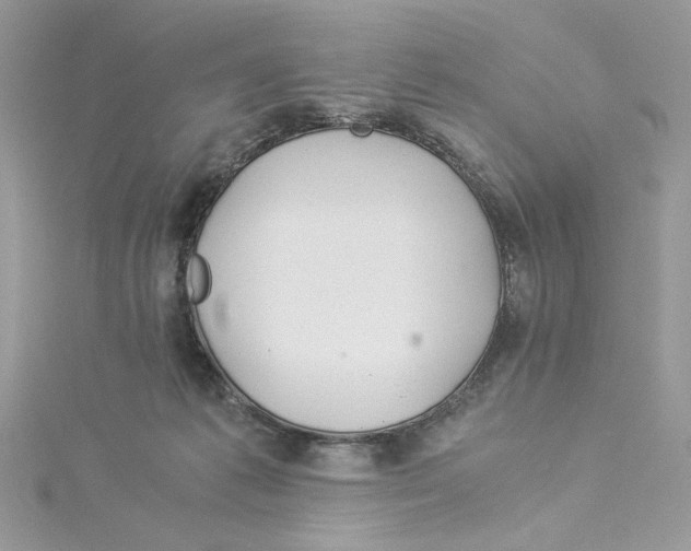 X0000114540221200911161404