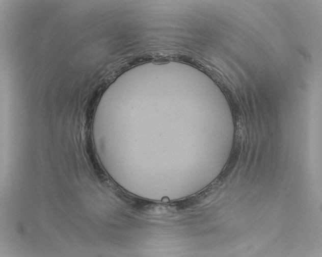 X0000114540223200911161404