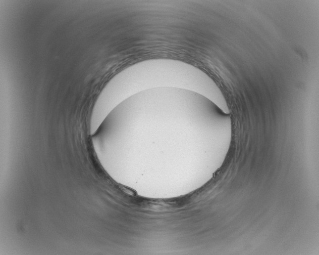 X0000114540229200911161404