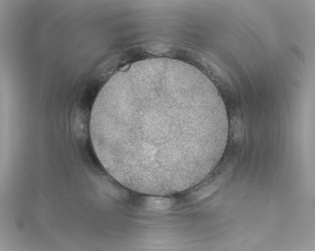 X0000114540234200911161404