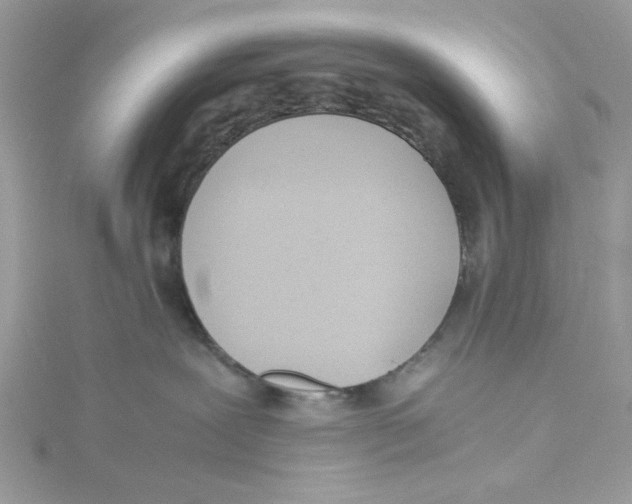 X0000114540239200911161404