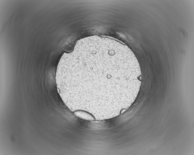 X0000114540240200911161404