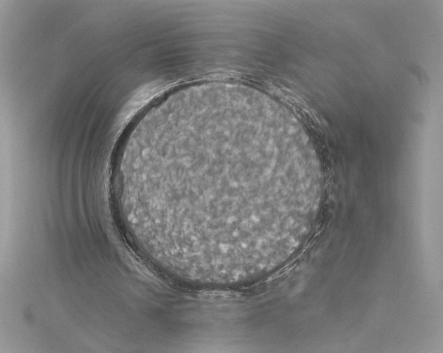 X0000114540242200911161403