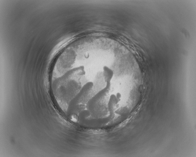 X0000114540245200911161403