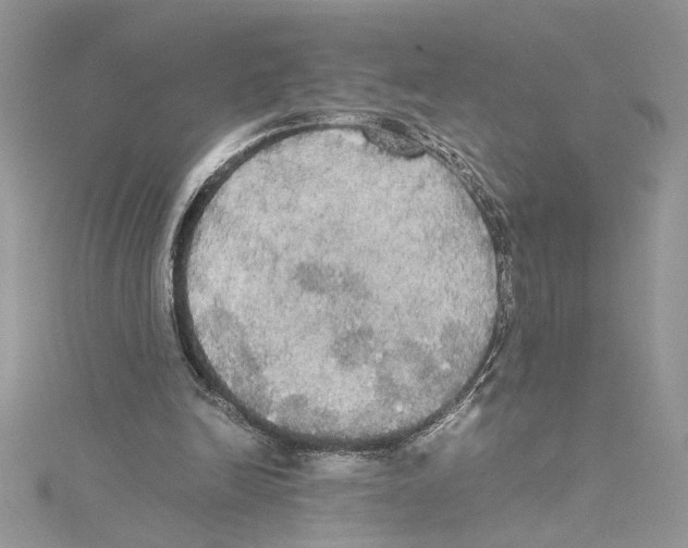 X0000114540246200911161403