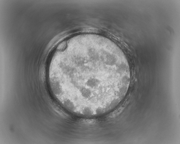 X0000114540247200911161403