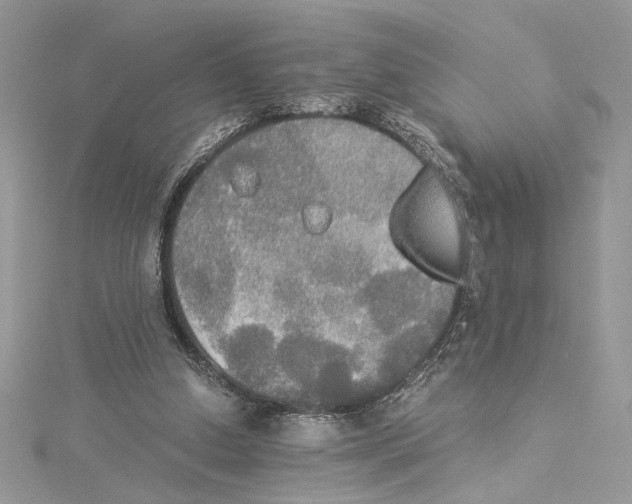 X0000114540250200911161404