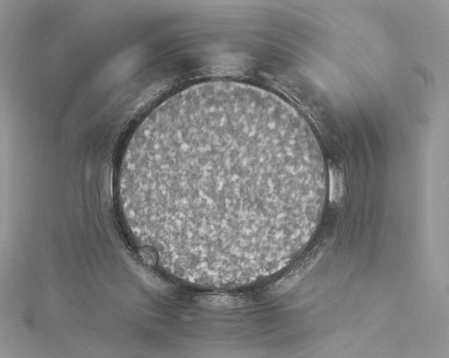 X0000114540253200911161404