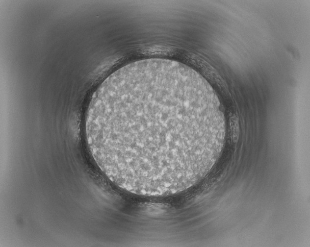 X0000114540255200911161404