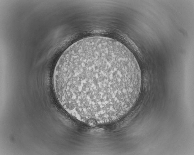 X0000114540257200911161404