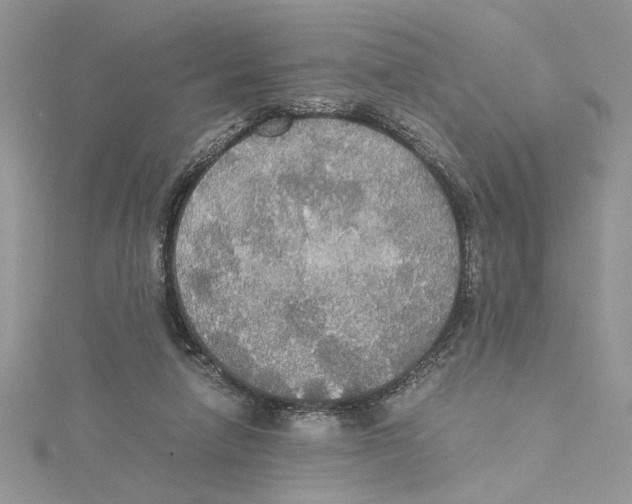 X0000114540258200911161404