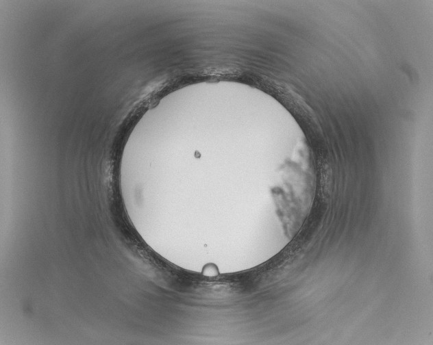 X0000114540260200911161404