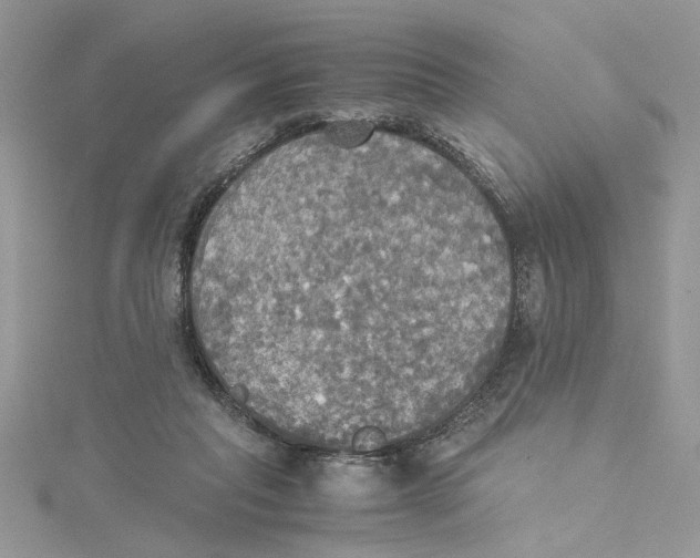 X0000114540261200911161404