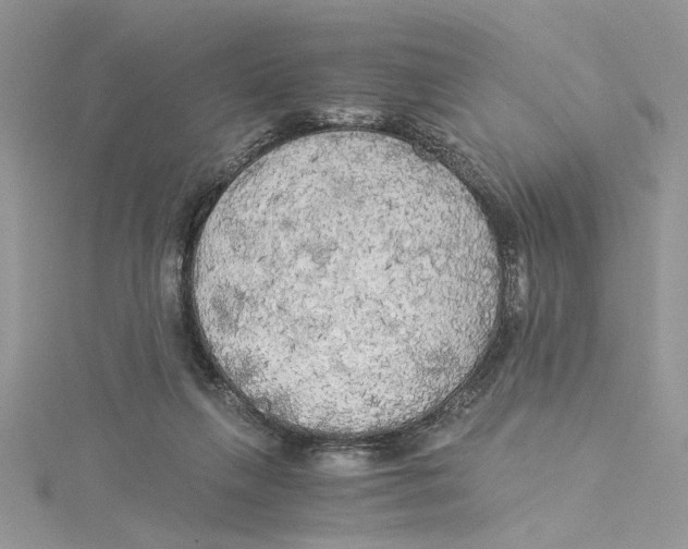 X0000114540263200911161404