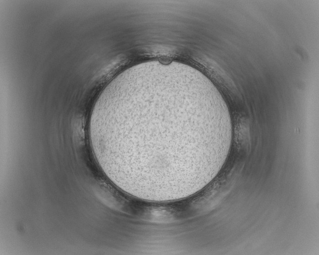 X0000114540264200911161404