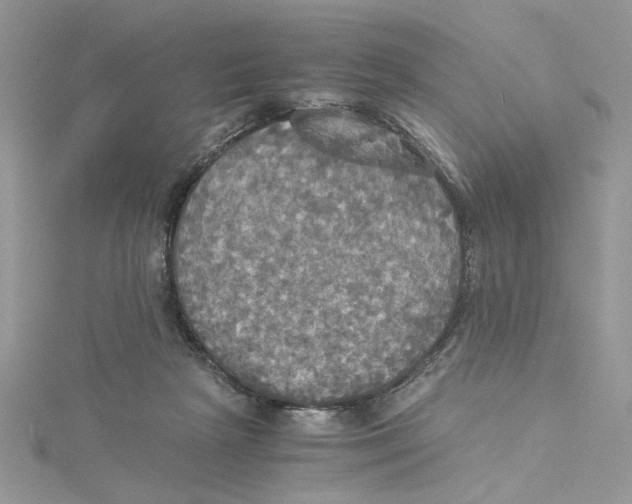 X0000114540265200911161404