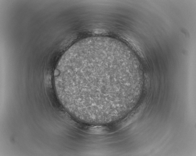 X0000114540269200911161404