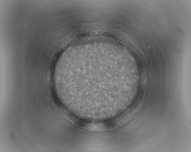 X0000114540270200911161404