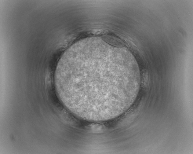 X0000114540272200911161404