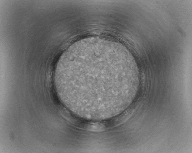 X0000114540275200911161404