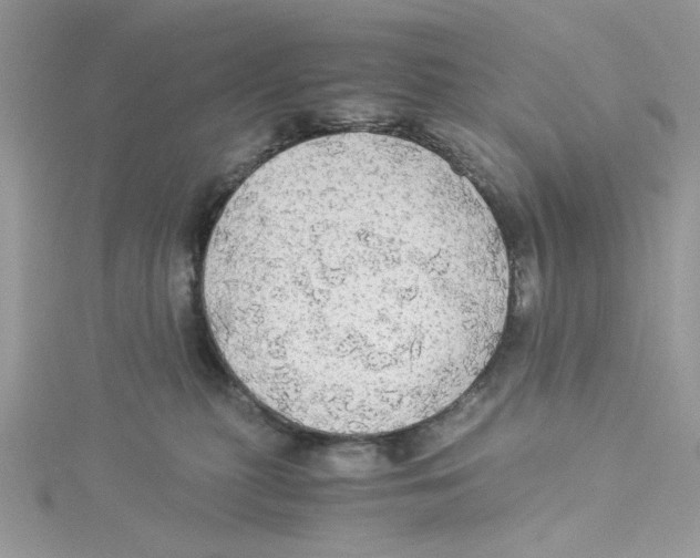 X0000114540279200911161404