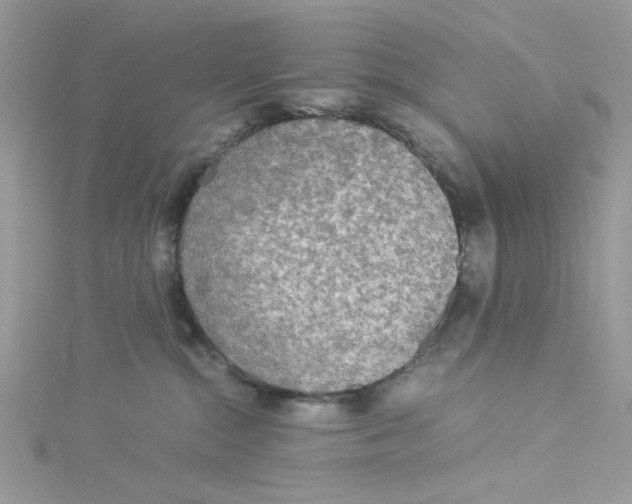 X0000114540284200911161404