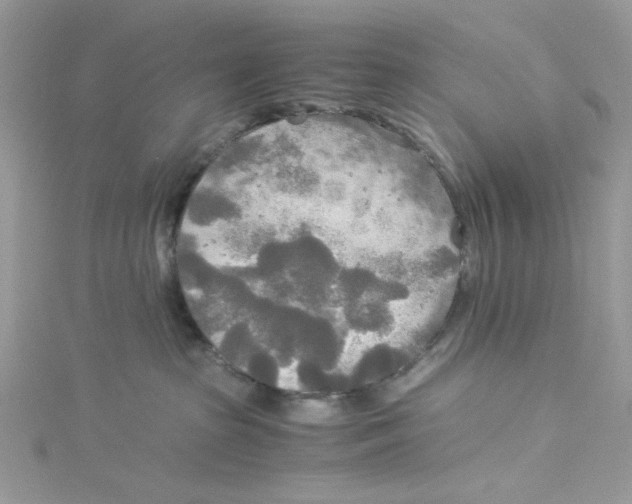 X0000114540285200911161404