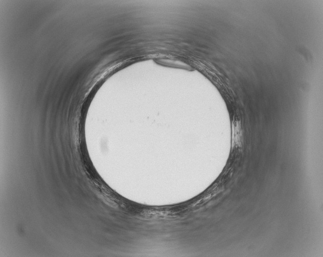 X0000114540291200911161403