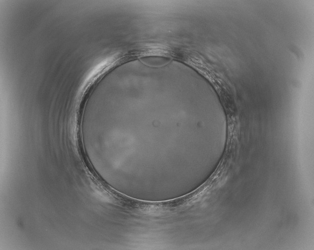 X0000114540293200911161403