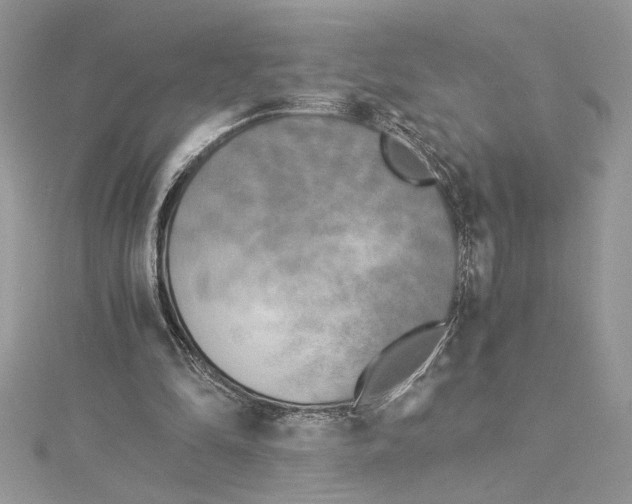 X0000114540294200911161403